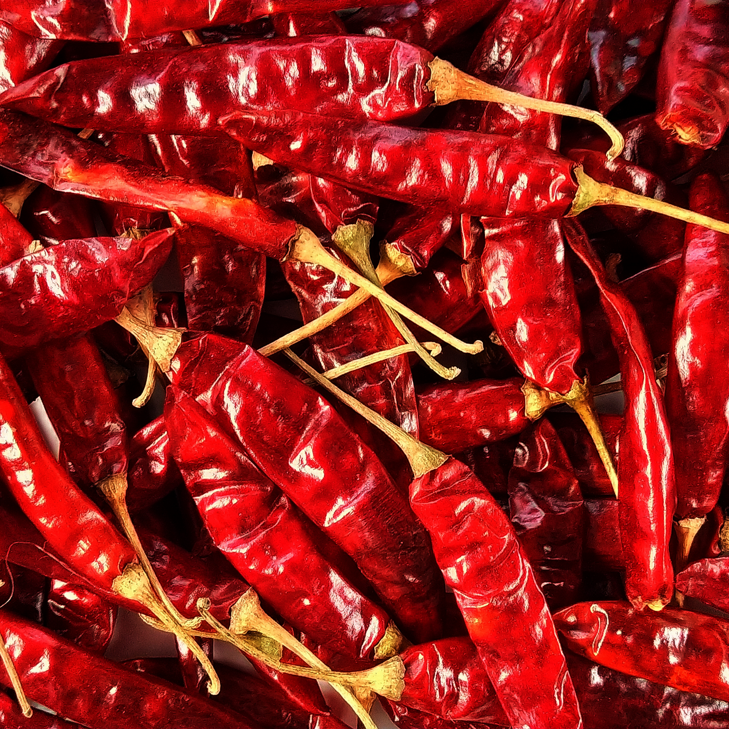 From Garden to Bottle: The Sizzling Tale of Joe's Chilli Sauce